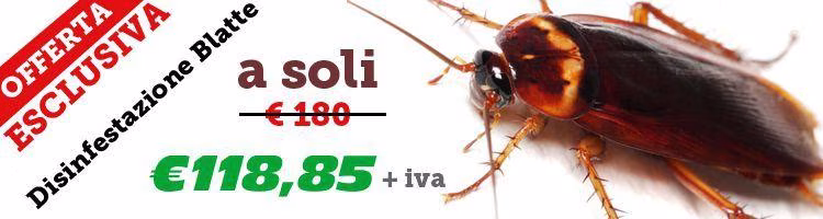 offerta speciale disinfestazione blatte e scarafaggi